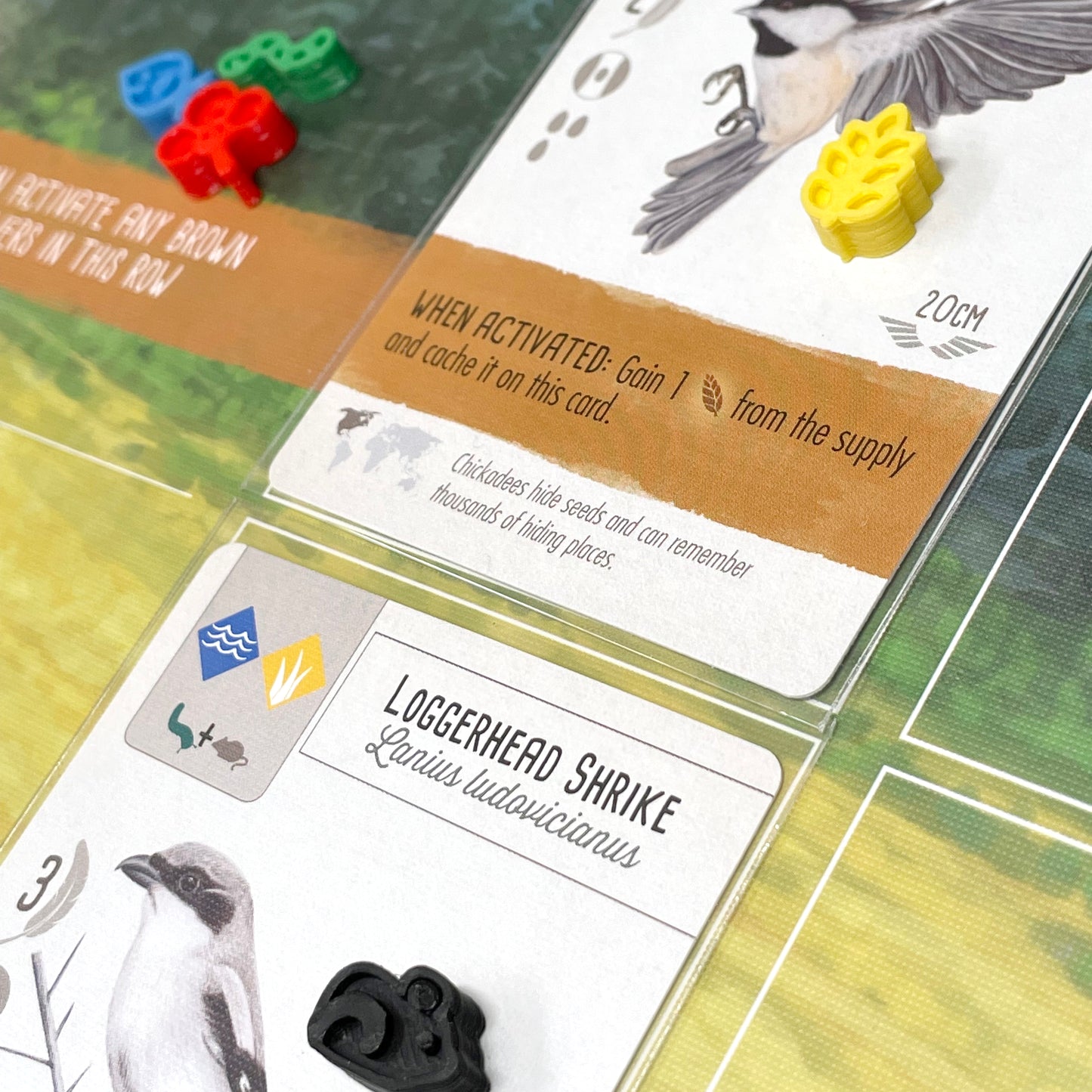 Wingspan Mini Chunky Style Upgraded Food Tokens